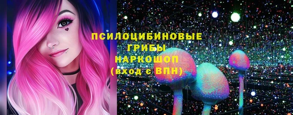 гашик Баксан