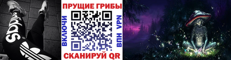 Псилоцибиновые грибы Cubensis  mega ONION  Макарьев 